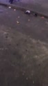 1785 KB
