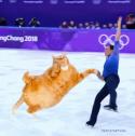 1746415381661.gif