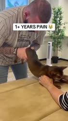 1746418932973.webm