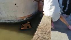 1746431461734.gif