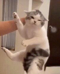 1746437806084.gif