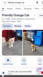 1746445692108.webm