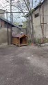 1746445770851.webm