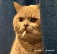 1746446775551.gif