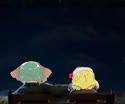 1746449167020.webm