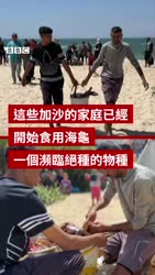 1746453544090.webm