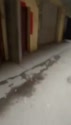 1746495000794.webm