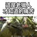 1746510153653.webm