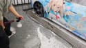 1746536926766.webm