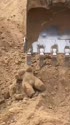 1746537162922.webm