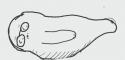 1746538046041.gif