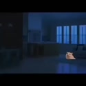1746538169718.webm