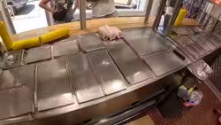 1746544095083.webm