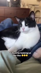 1746550892793.webm