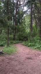 1746551463888.webm