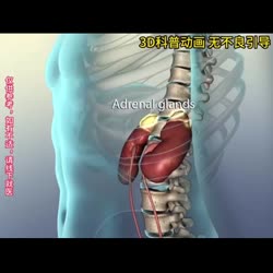 1746584396221.webm