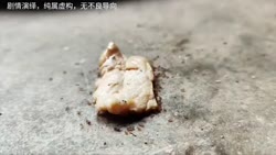1746585053254.webm