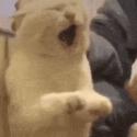 1746595681756.gif