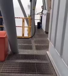 1746604539598.webm