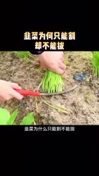 1746616650424.webm