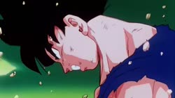 1746619946677.webm