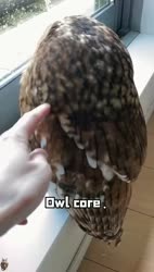 1746625140862.webm