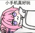 1746629291839.png
