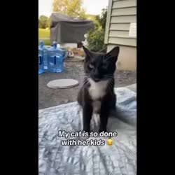 1746659130810.webm