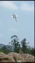 1746679761465.webm