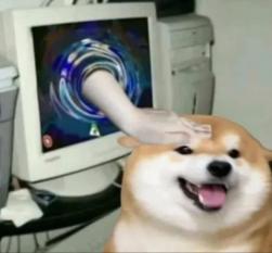 1746692862509.jpg
