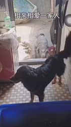 1746708176120.webm