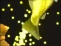 1746708533828.webm