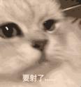 1746716880778.gif