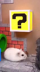 1746770900613.webm