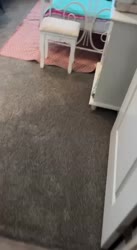 1746784257292.webm