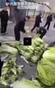 1746785411442.webm