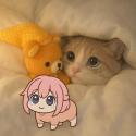 1746820391505.png