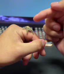 1746842820226.webm