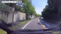 1746854610841.webm