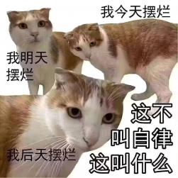 1746862333153.jpg
