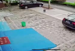 1746866993331.webm