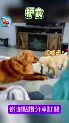 1746868640436.webm