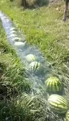1746878540937.webm