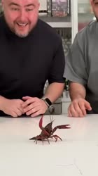 1746878550008.webm