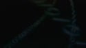 1746886441147.webm