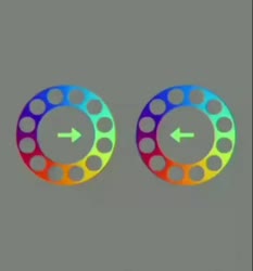 1746886935440.webm