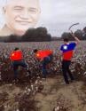 1746887773905.jpg