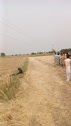 1746888314796.webm