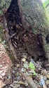 1746889613314.webm