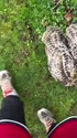1746890777946.webm
